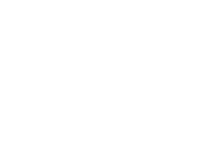 Onderzoeks­bureau voor het sociaal domein 4